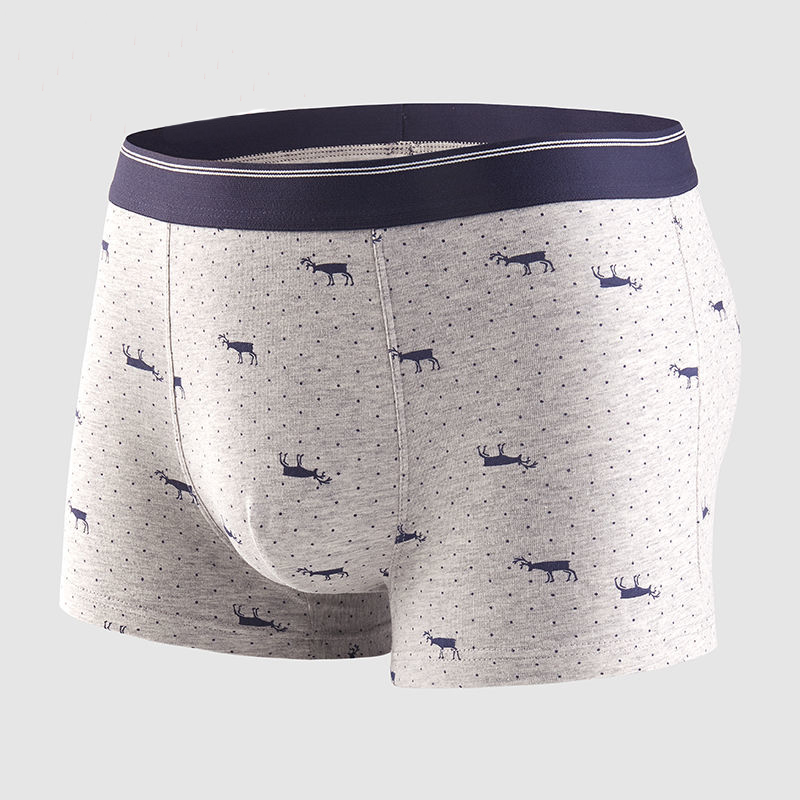 4 stücke männer Höschen Sexy S – Boxer Brief Pack Cotton Bewertung und Preis