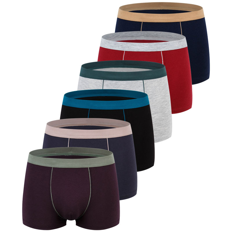 Große Größe Nahtlose Unterwäsc – Boxer Brief Pack Cotton Bewertung und Preis